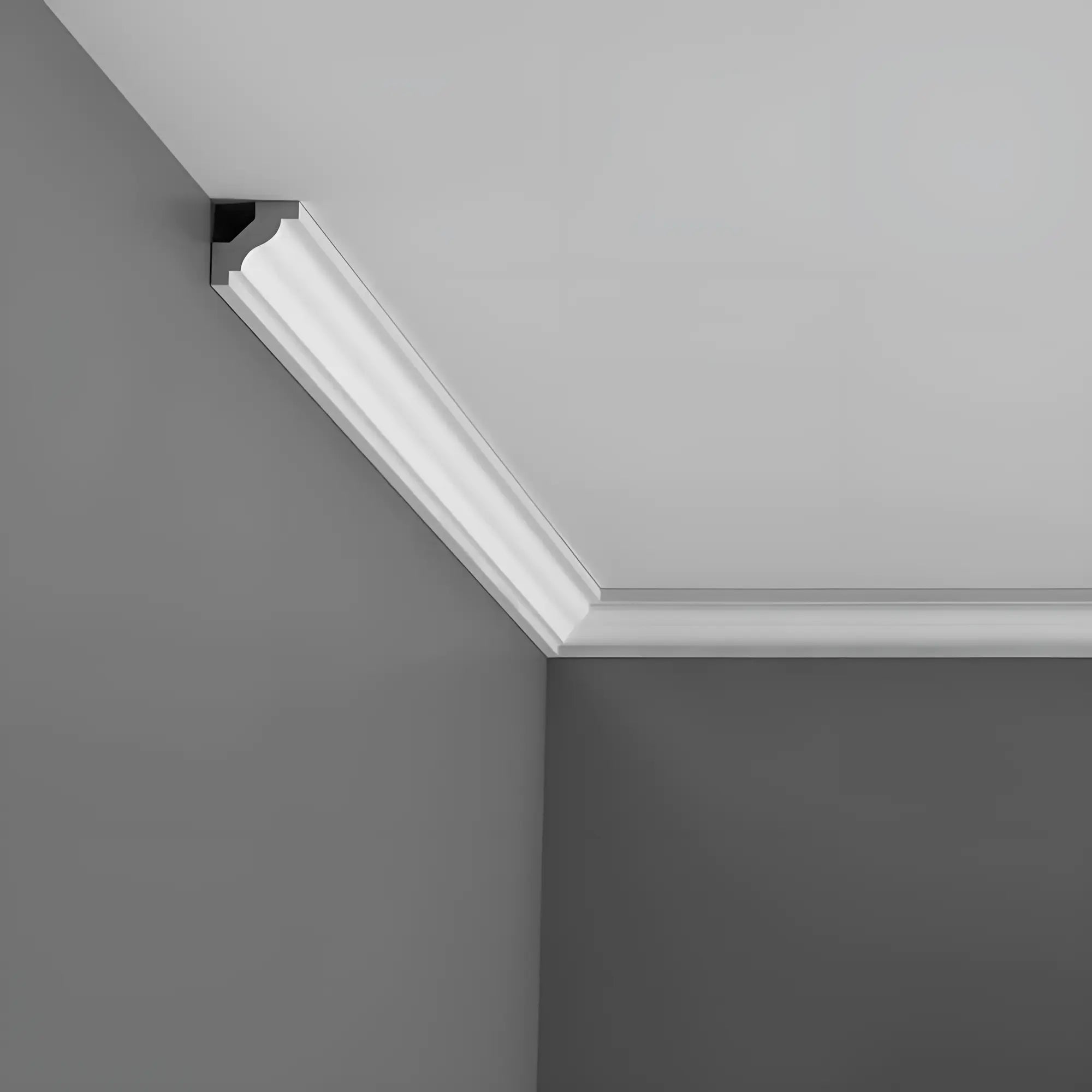 Stuckleiste C230 in weiß | 29 x 29 x 2000 mm